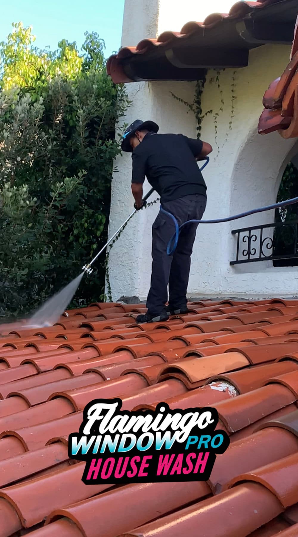 Contact form background