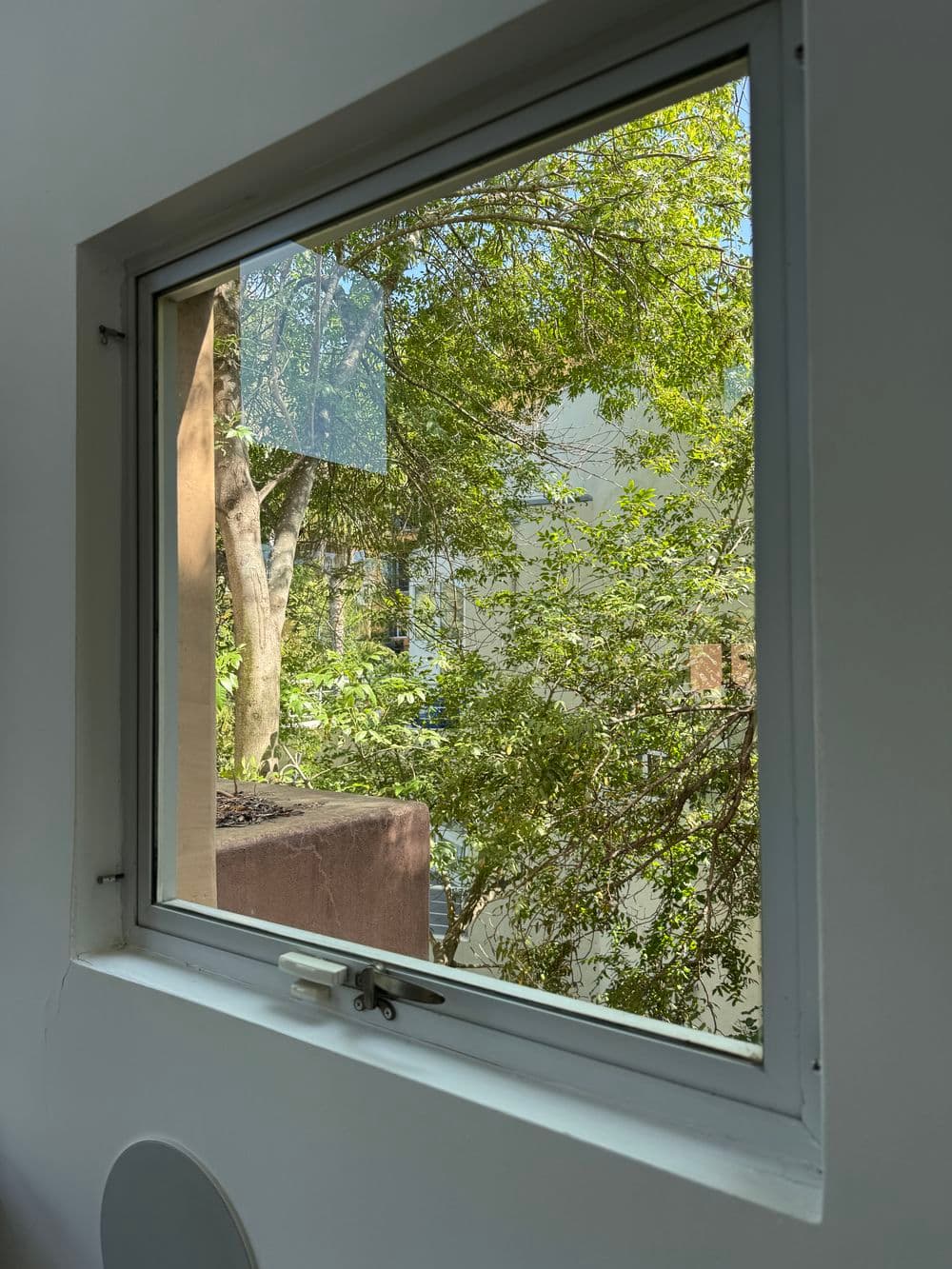 Why Choose Flamingo Window Pro House Wash