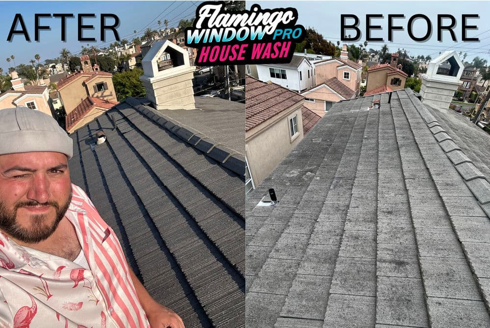 Before and after house wash roof transformation by Flamingo Window Pro, showcasing clean shingles.