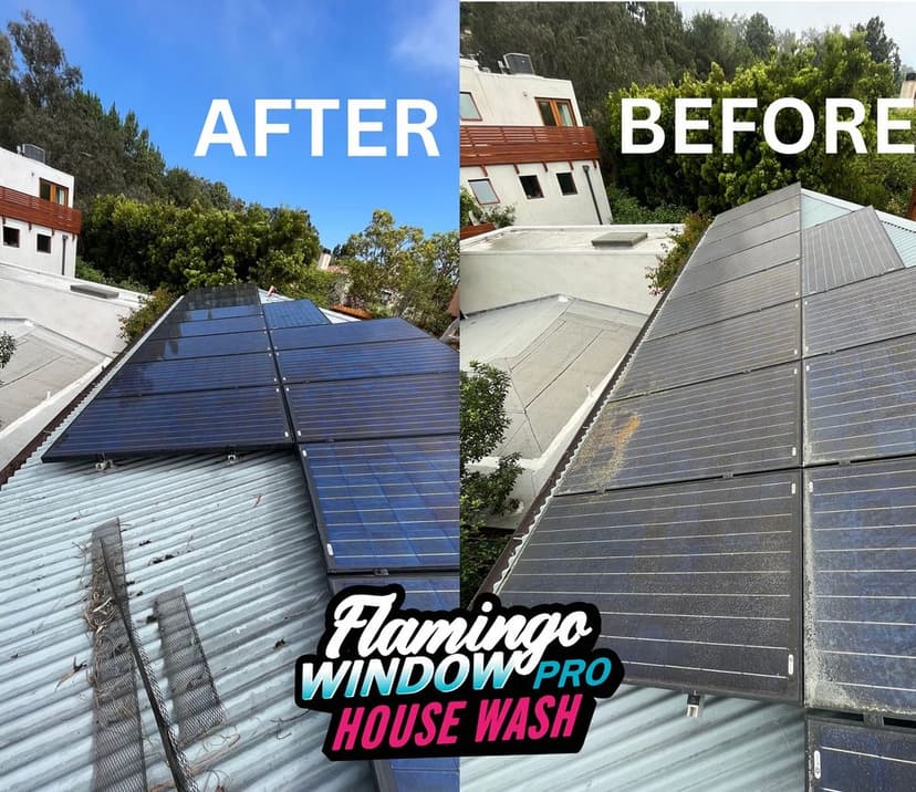 Before and after roof wash showing clean solar panels and improved property appearance.