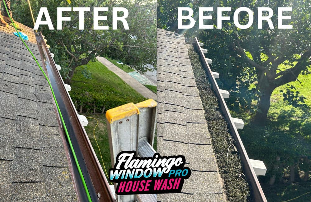 Contact form background