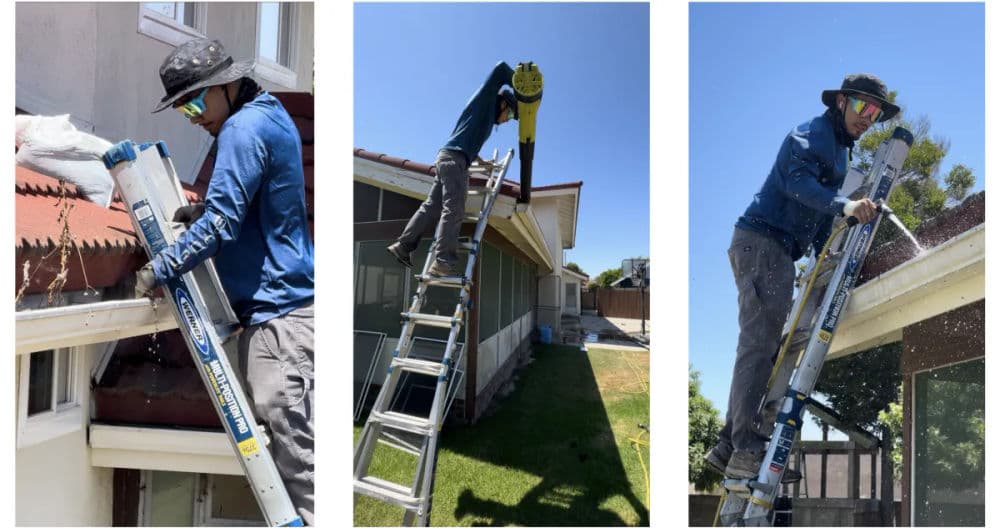 Why Choose Flamingo Window Pro House Wash